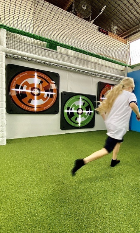 Interactive target system for multi-sport pitches